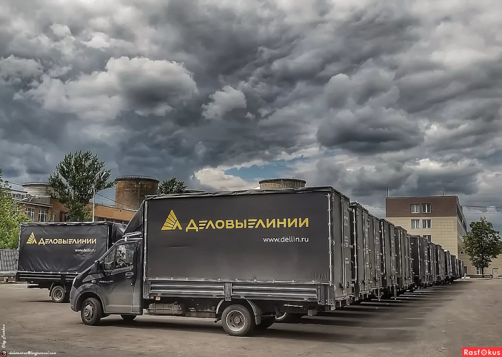 Деловые линии